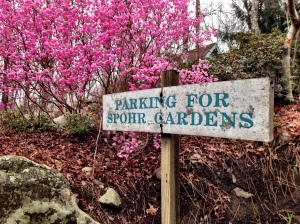 Woods Hole blooming, sign for Spohr Gardens with cherry blossoms in full bloom